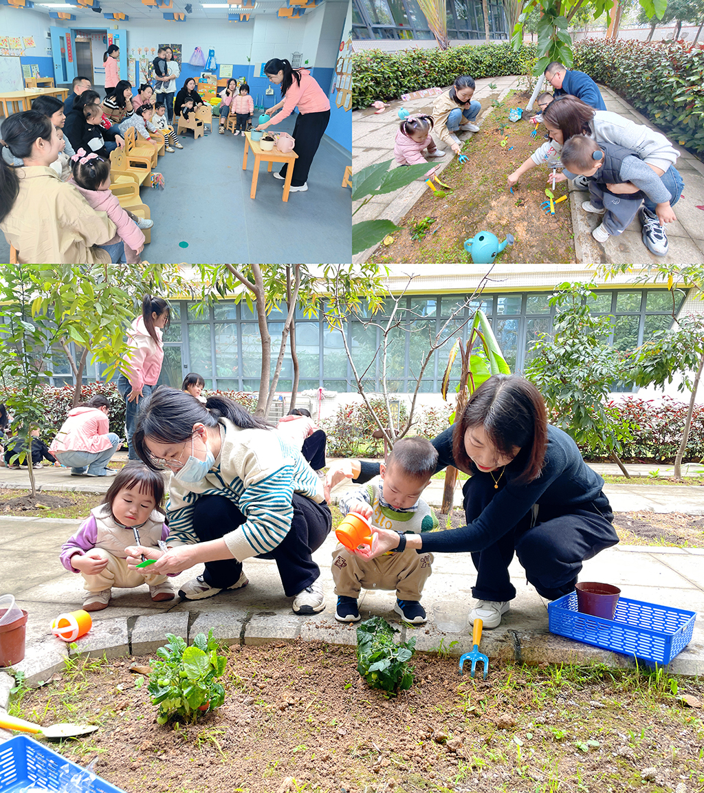 图为老师介绍种树流程及亲子合作植树.jpg