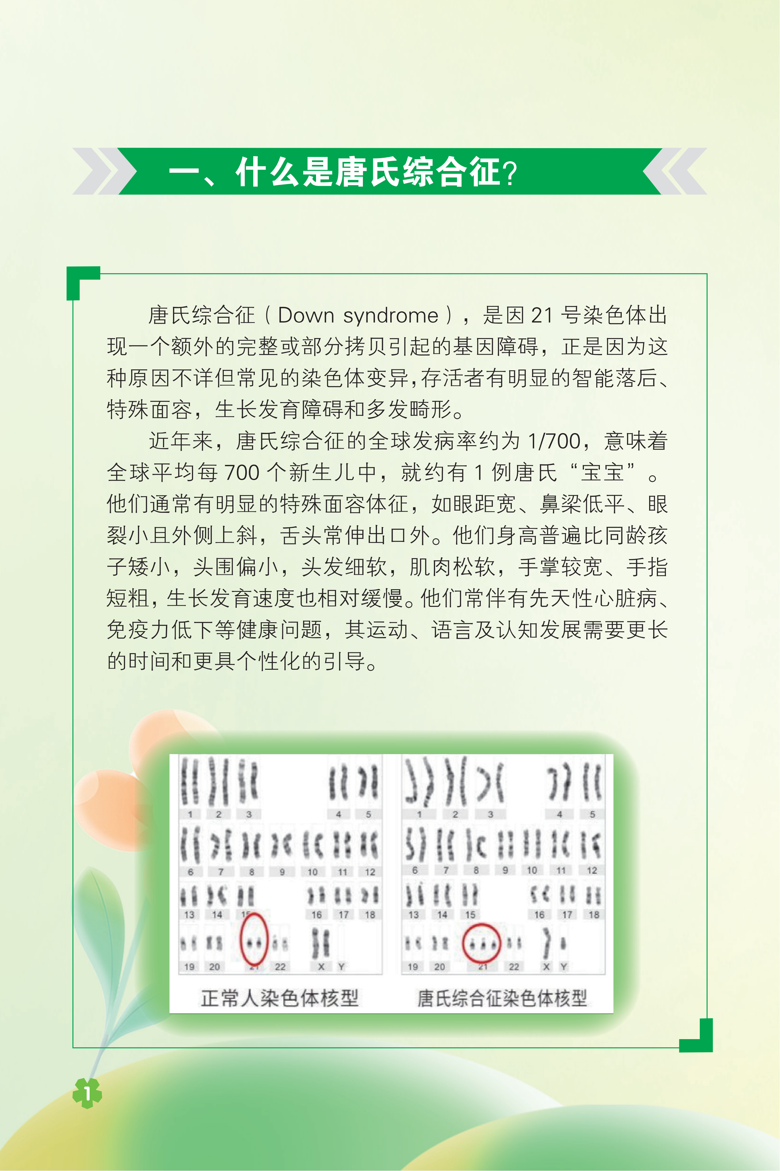 附件1 2026年世界唐氏综合征日宣传手册_04.png