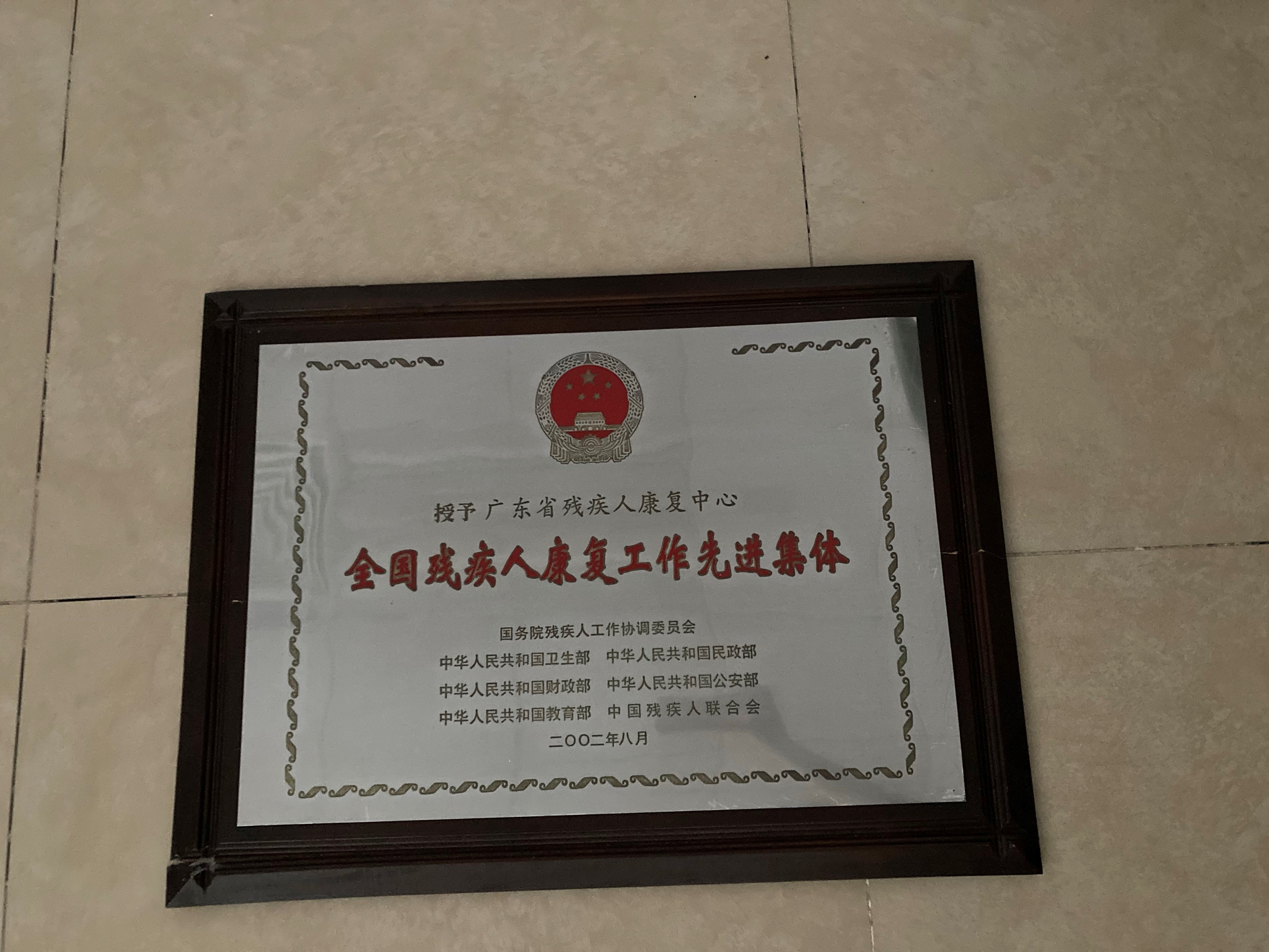 08 2002年8月全国残疾人康复工作先进集体.jpg
