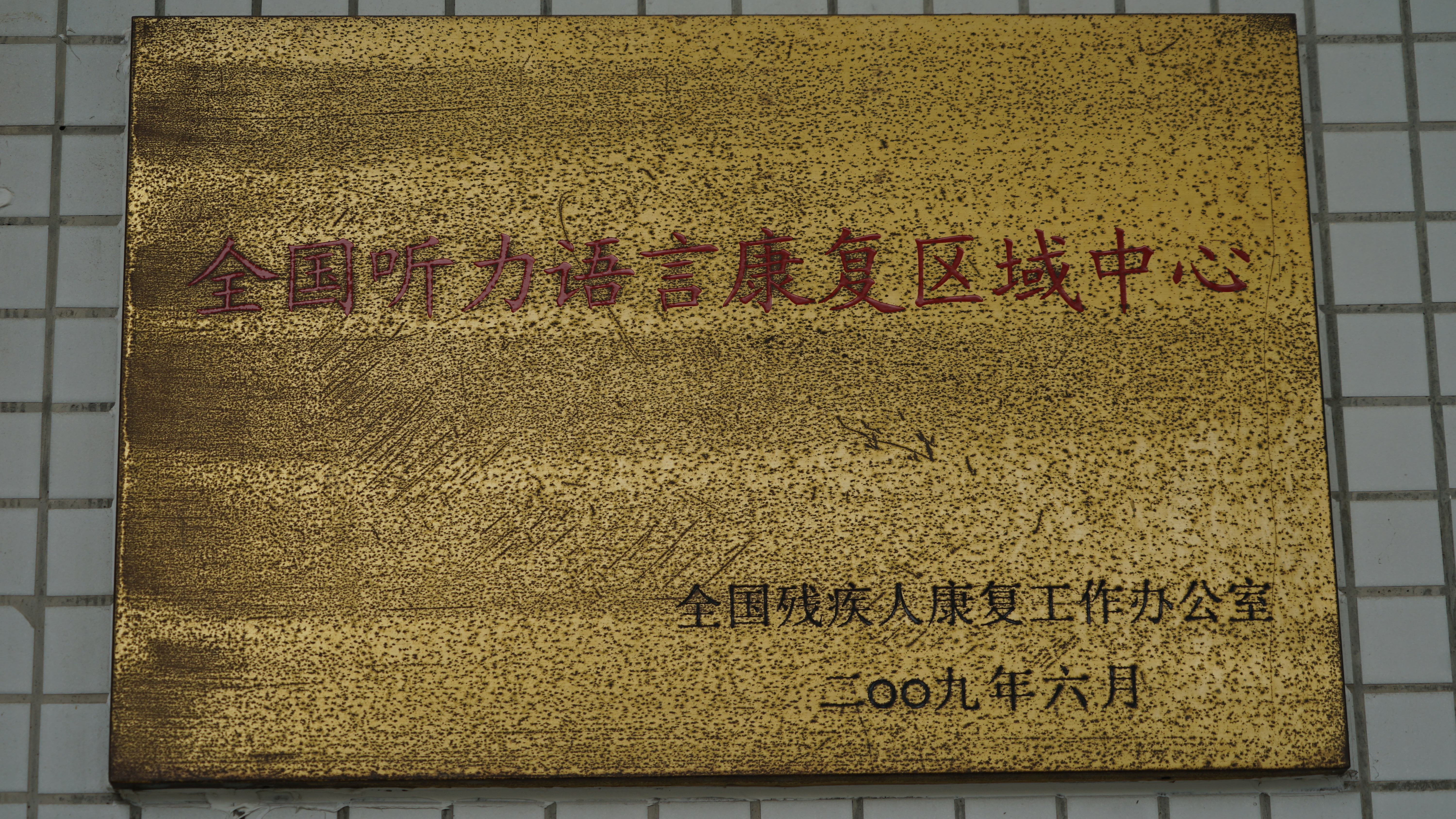 15 2009年全国听力语言区域中心.JPG
