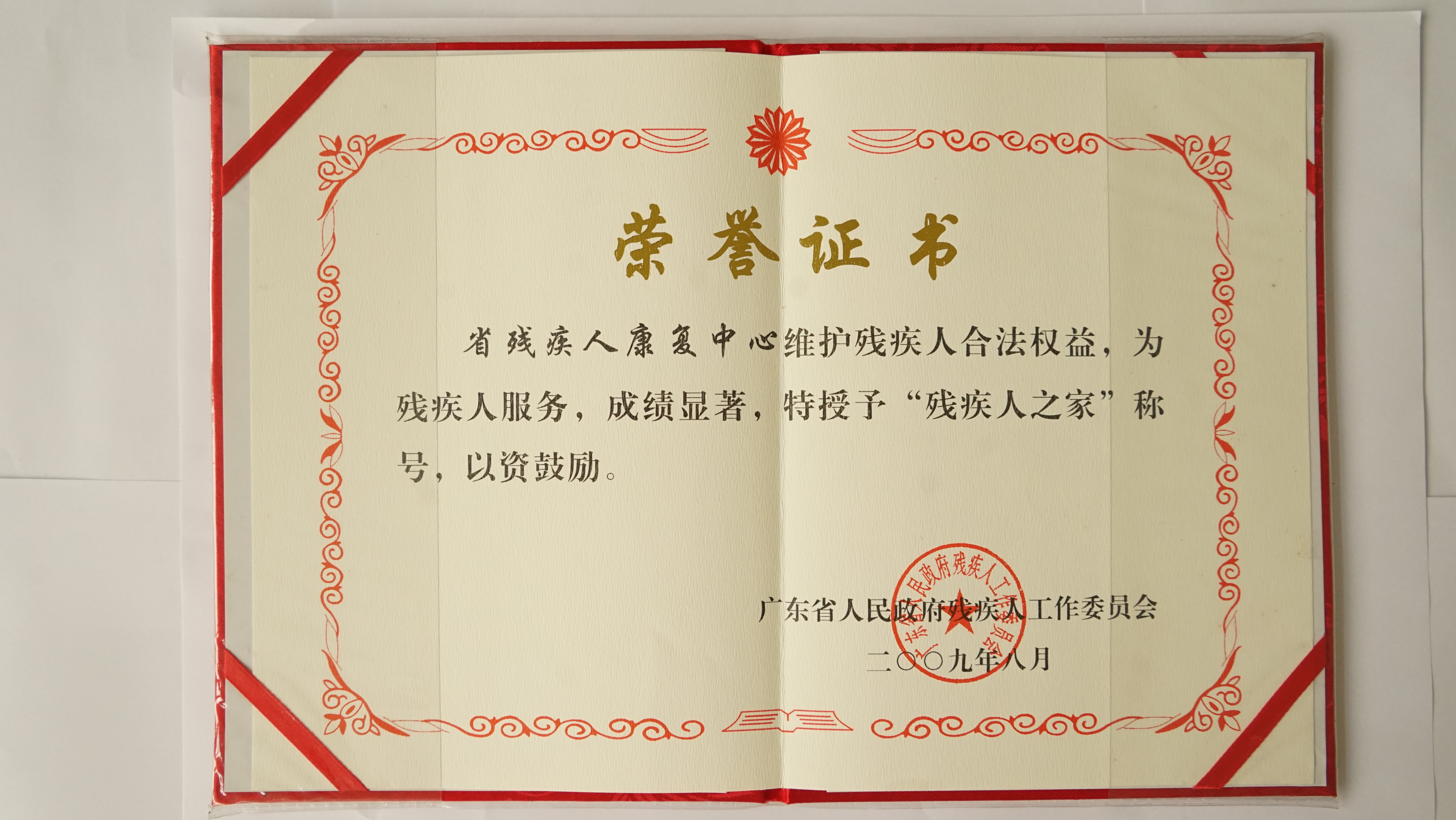 16 2009年度残疾人之家.JPG