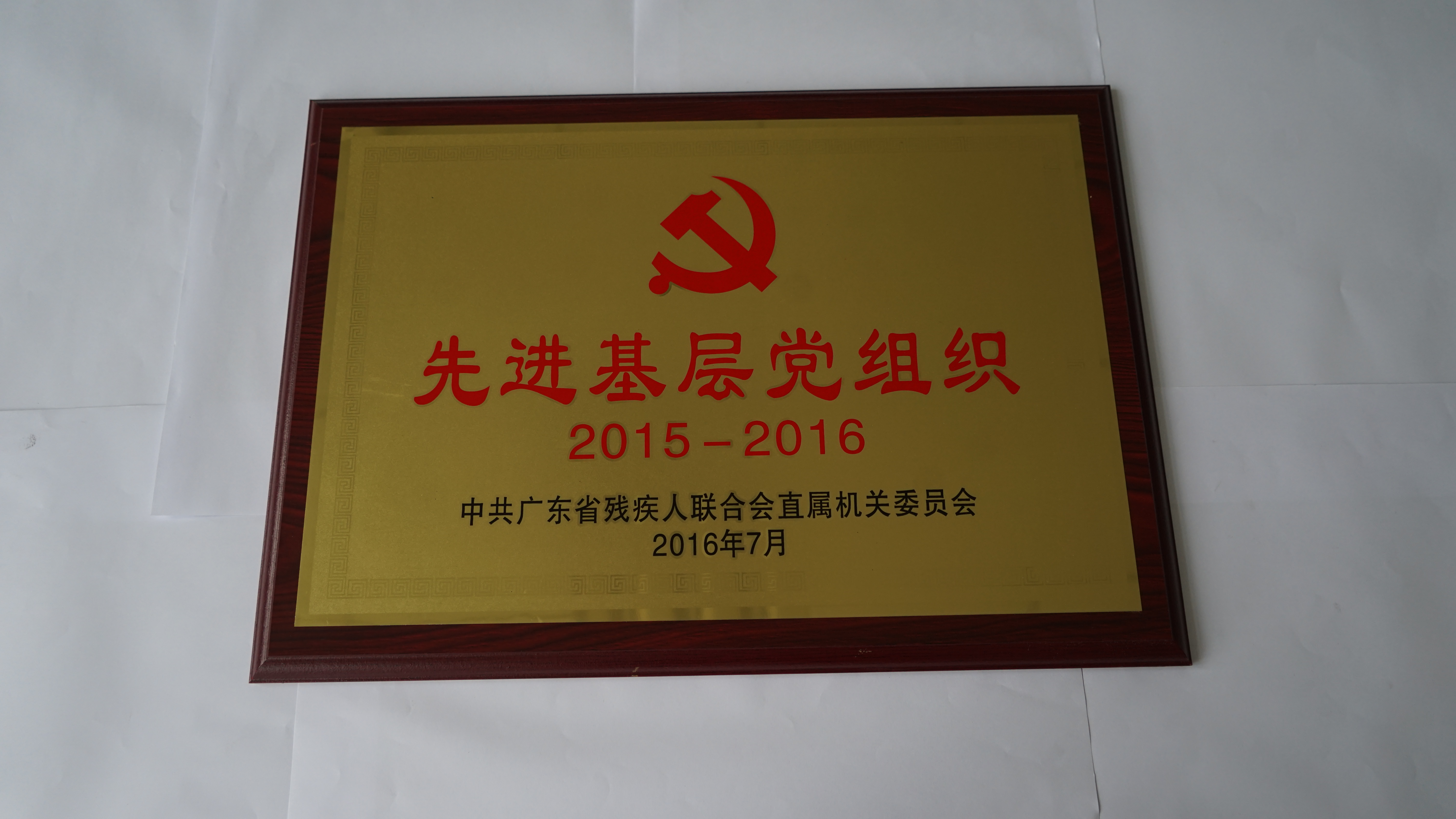 26 2016年7月先进基层党组织.JPG